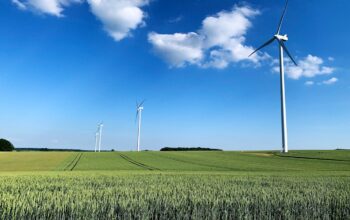 white wind turbines on green grass field under blue sky during daytime